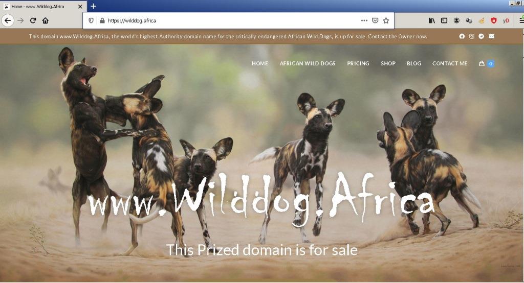 Wilddog.Africa African wild dog Websites.Expert