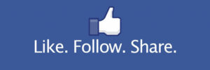 Website Expert facebook-like-follow-share